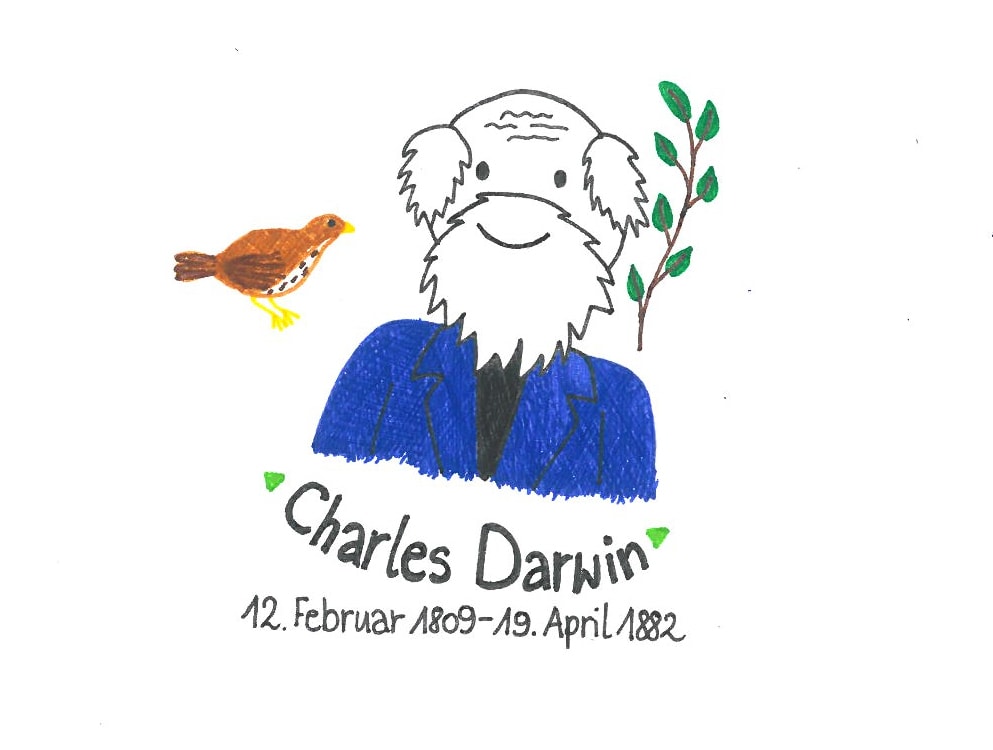 Illustration von Charles Darwin