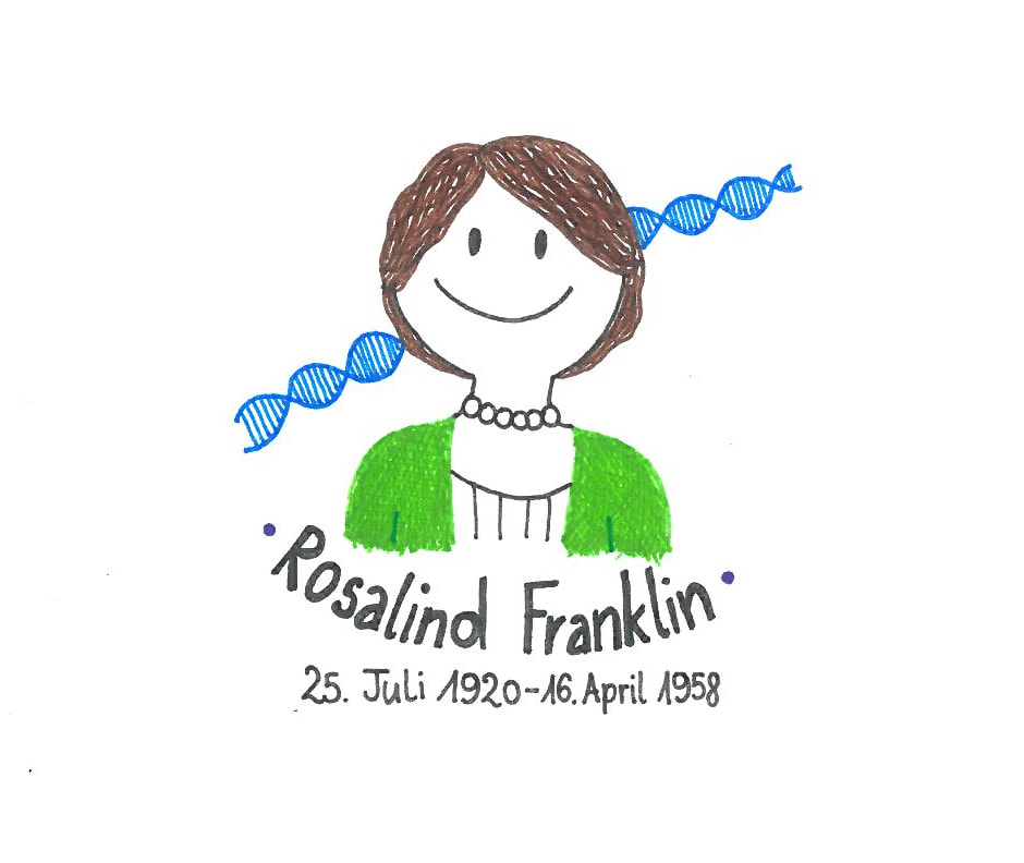 Illustration von Rosalind Franklin