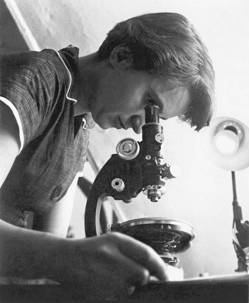 Fotografie von Rosalind Franklin, wie sie durch ein Mikroskop sieht