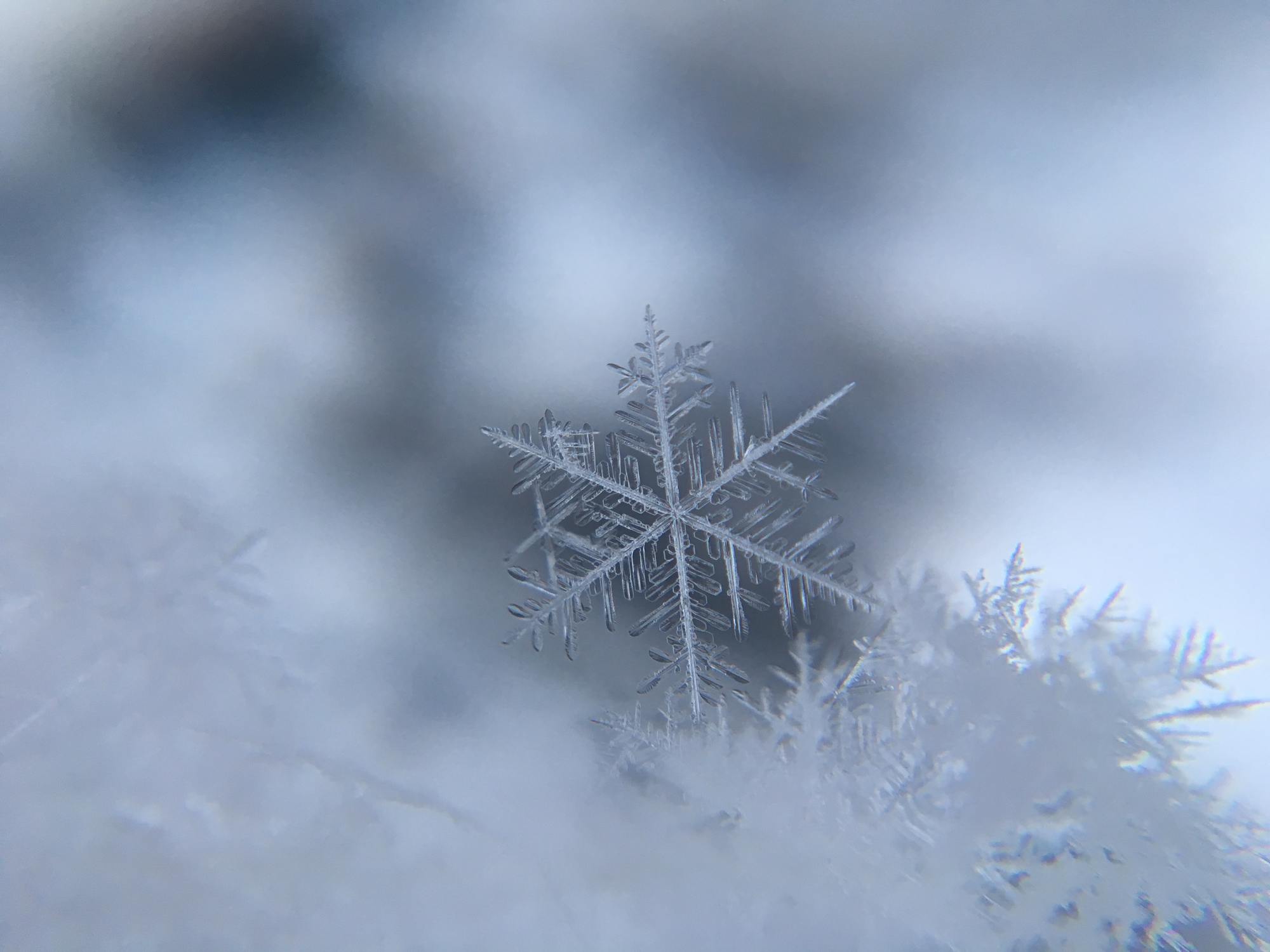 Schmilzt Schnee, so verliert es seine kristalline Struktur und wird durchsichtig.