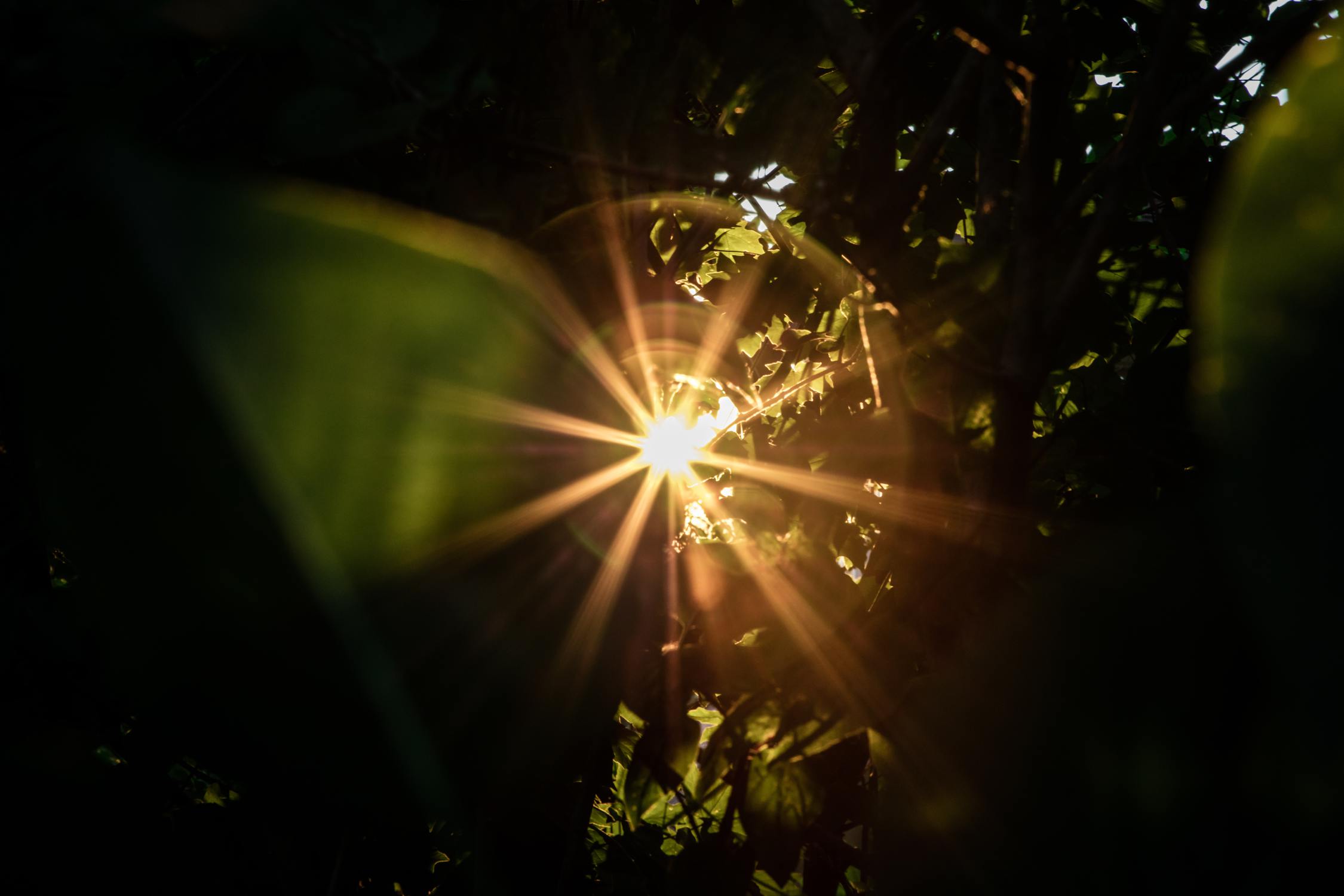 Messen der Lichtgeschwindigkeit durch präzise Stoppuhren