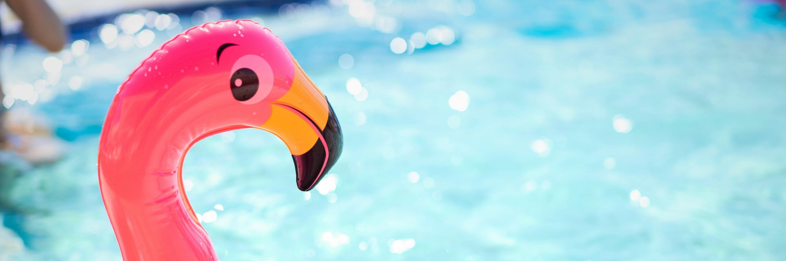 Flamingo-Schwimmtier im Pool im Sommer