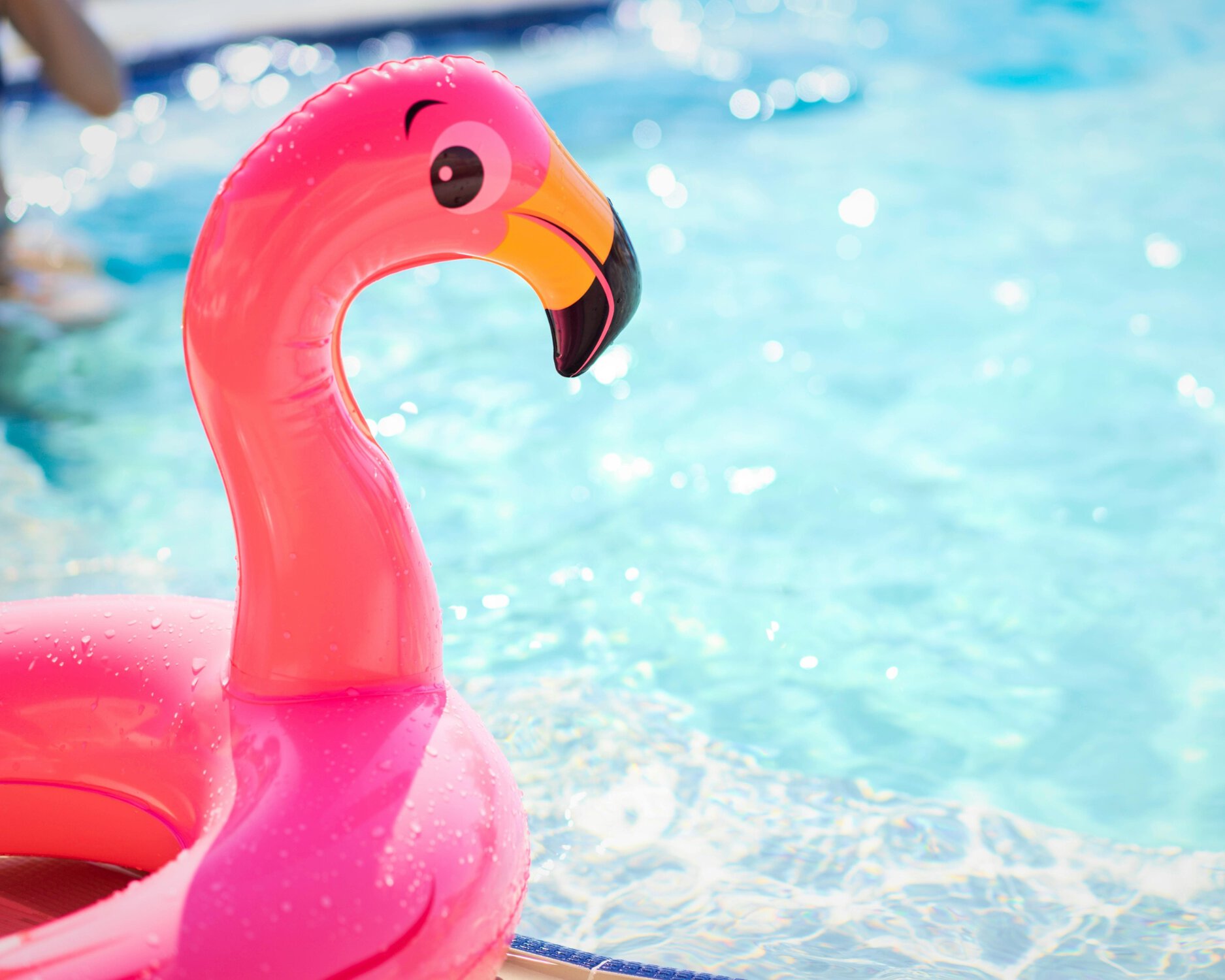 Flamingo-Schwimmtier im Pool im Sommer