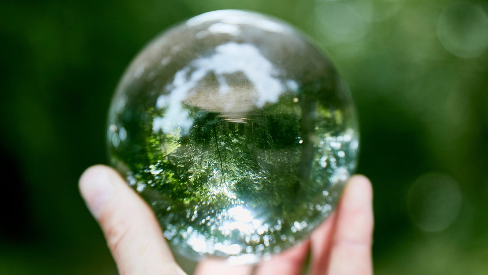 Person hält Glaskugel in der Hand, in der sich Bäume spiegeln, als Symbolbild für das Wissenschaftsjahr 2025 – Zukunftsenergie