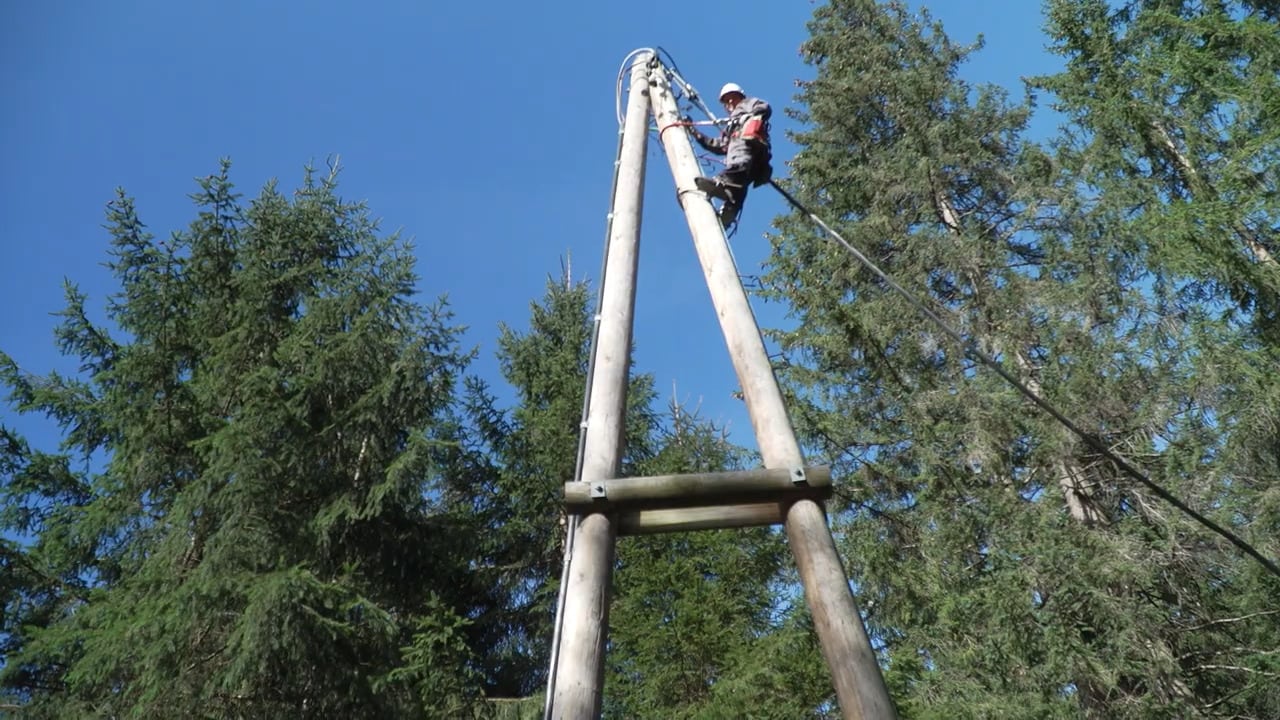 Eine junge Frau, Role Model des Jahres 2022 Nina Greilberger, ist aus der Ferne zu sehen, wie sie oben an einem Strommasten aus Holz steht und gesichert hinunterblickt.